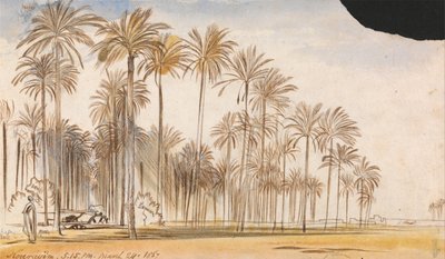 Kourayim - Edward Lear